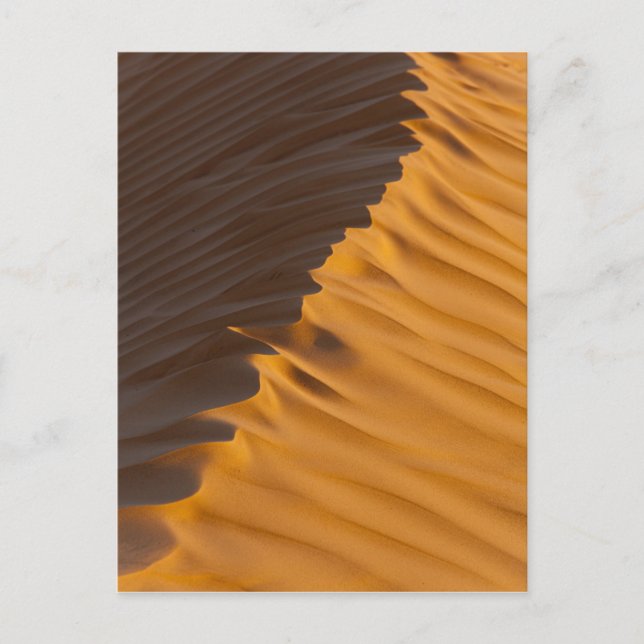 Postal Túnez, zona de Ksour, Ksar Ghilane, Gran Erg (Anverso)