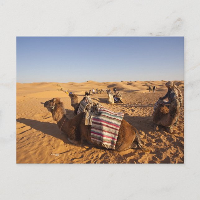 Postal Túnez, zona de Ksour, Ksar Ghilane, Gran Erg 3 (Anverso)