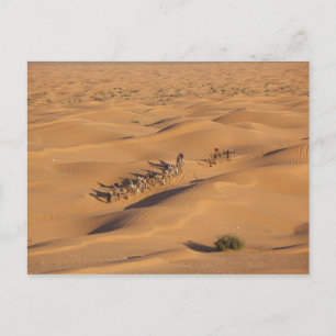 Postal Túnez, zona de Ksour, Ksar Ghilane, Gran Erg 4