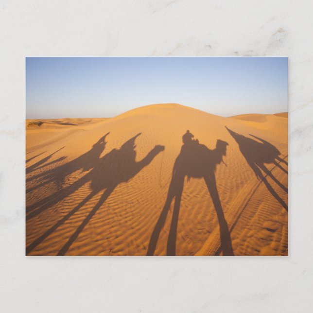 Postal Túnez, zona de Ksour, Ksar Ghilane, Gran Erg 5 (Anverso)