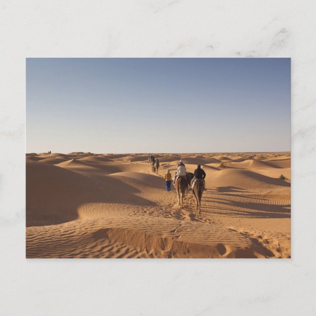 Postal Túnez, zona de Ksour, Ksar Ghilane, Gran Erg 7 (Anverso)