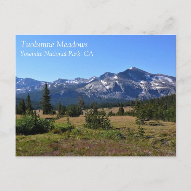 Postal Tuolumne Meadows, Yosemite, CA Postcard (Anverso)