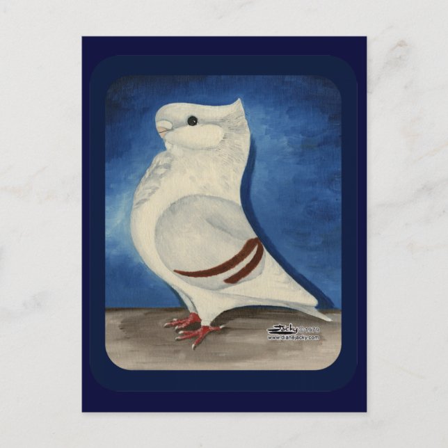 Postal Turbit Pigeon 1979 (Anverso)
