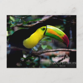 Postal Turco en Belice