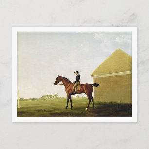 Postal Turf, c.1765 (aceite sobre lienzo) (véase 152743)
