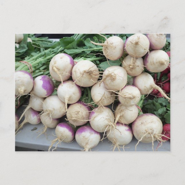 Postal Turnip Pile (Anverso)