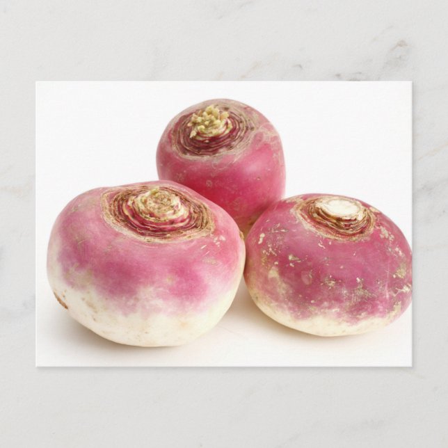 Postal Turnips (Anverso)