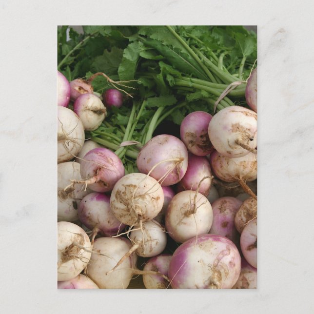 Postal Turnips (Anverso)