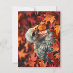 Postal Turquía del bebé en otoño