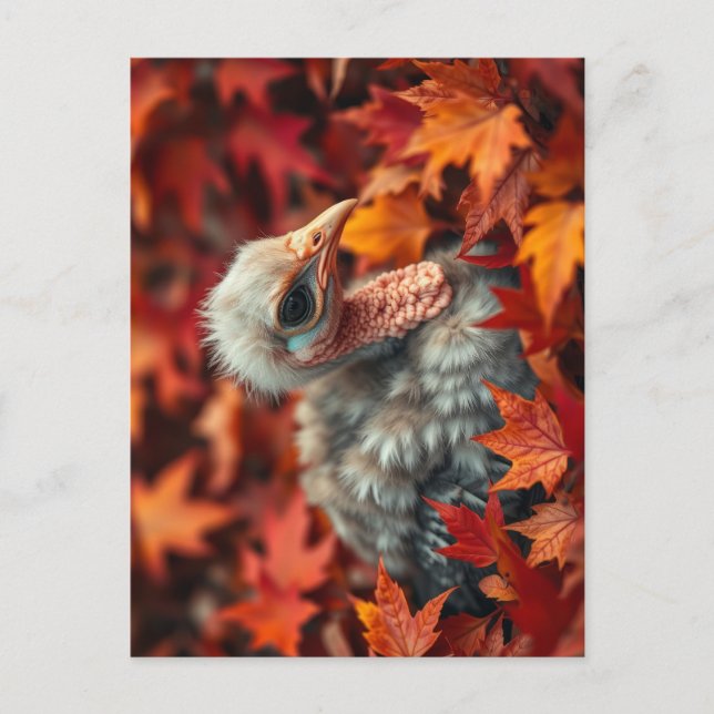 Postal Turquía del bebé en otoño (Anverso)