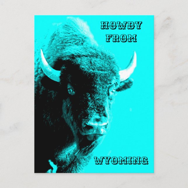 Postal Turquoise Blue Buffalo Bull Bison Howdy (Anverso)
