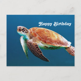 Postal Turtle Blue Water Sea Foto Cumpleaños