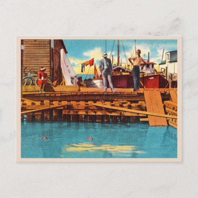 Postal Turtle Kraals vintage Key West Florida (Anverso)