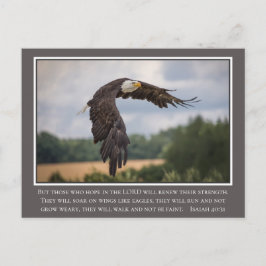 Postal Tus alas CoIor como Eagles Isaiah 40:31 Biblia