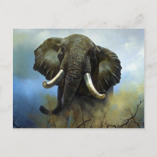Postal Tusks, elefantes