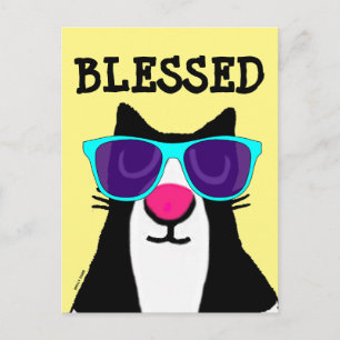 POSTAL TUXEDO CAT PANDA KITTY BLESSED POSTCARD