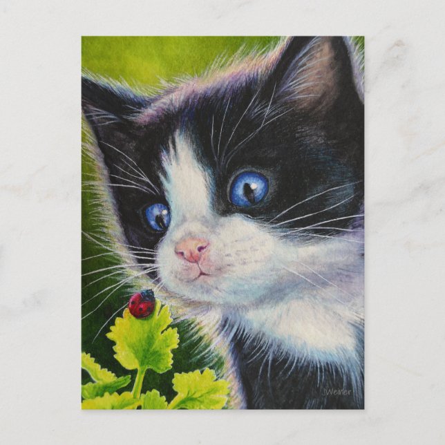Postal Tuxedo Kitten & Ladybug Watercolor Art (Anverso)