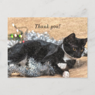 Postal Tuxedo Kitten Tinsel y Luces Gracias Postard