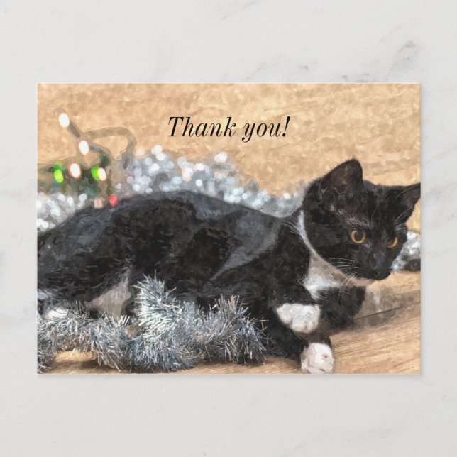 Postal Tuxedo Kitten Tinsel y Luces Gracias Postard (Anverso)