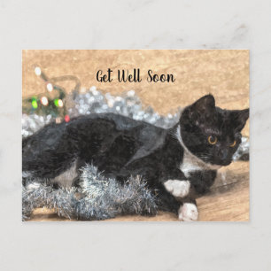 Postal Tuxedo Kitten Tinsel y luces se recuperan