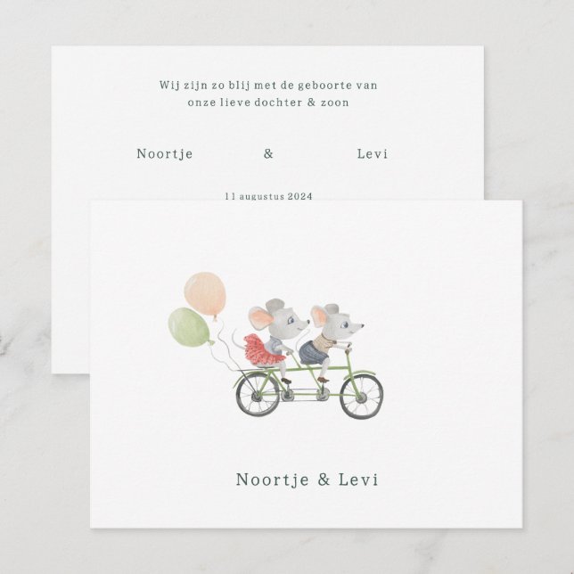 Postal Tweeling Baby Geboortekaartje Schattige Muisjes (Anverso / Reverso)