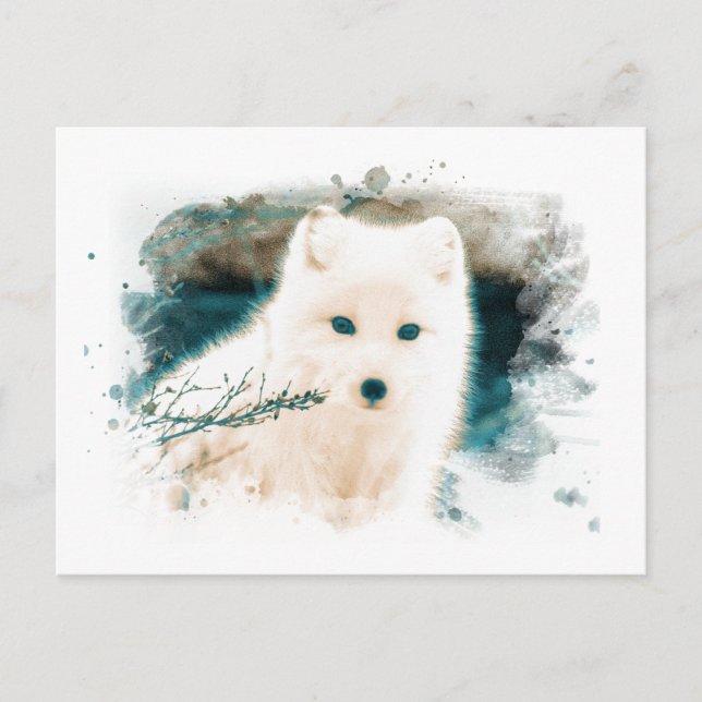 Postal *~* Twig Nieve Fox White Fox AP18 Polar Ártico (Anverso)