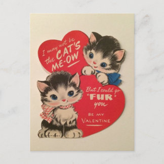 Postal Two Cute Kittens Vintage Valentine Postcard