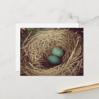 Postal Two Robin Eggs in a Nest