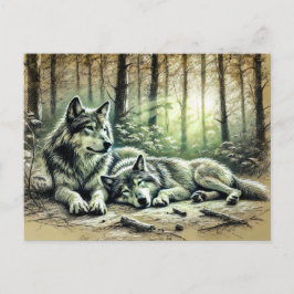 Postal Two Wolves Resting in the Forest