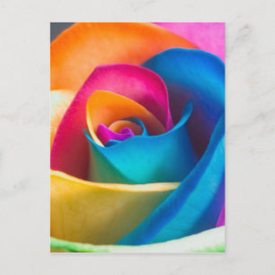 Postal Tye Dye rosa único