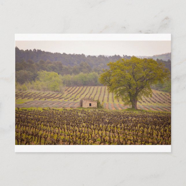 Postal Typically french (Anverso)