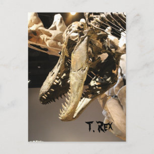 Postal Tyrannosauro # 2