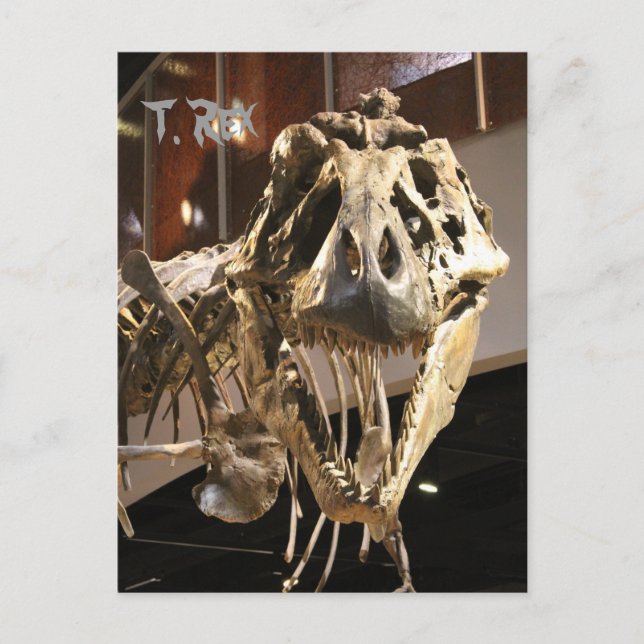 Postal Tyrannosauro # 4 (Anverso)