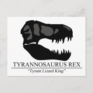 Postal Tyrannosaurus Rex Skull