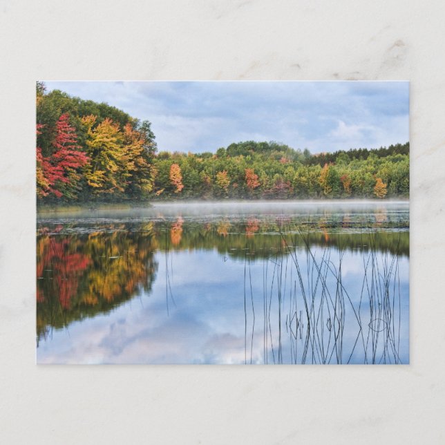 Postal U. P. Michigan Fall Reflections (Anverso)