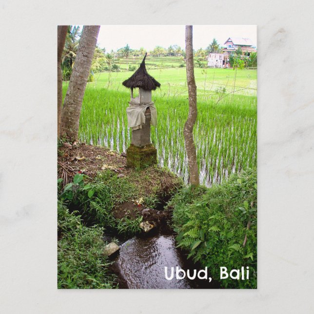 Postal Ubud Bali Indonesia Campo de arroz Temple (Anverso)