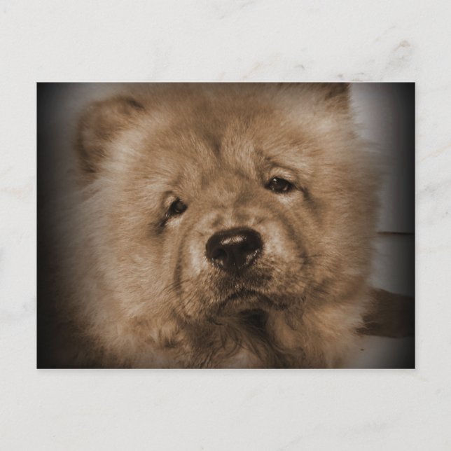 Postal Udon, mi bebé (Anverso)