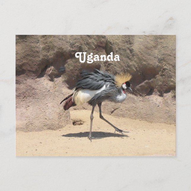 Postal Uganda Crested Crane (Anverso)