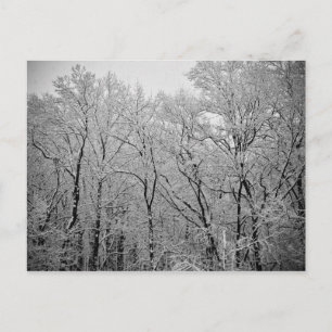 Postal Último aliento de invierno