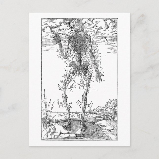 Postal Último Nervio - Esqueleto de Halloween (Anverso)