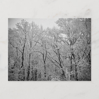 Postal Último respiro del invierno