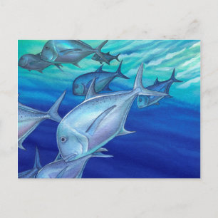 Postal Ulua (Trevally gigante)