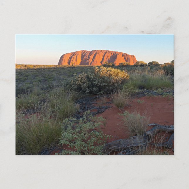 Postal Uluru Sunrise and Desert Flora (Anverso)