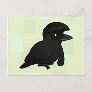 Postal Umbrellabird Birdorable