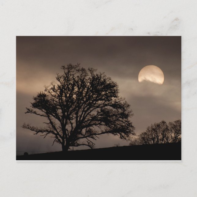 Postal Umpqua Valley Sunrise (Anverso)