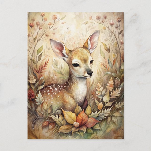 Postal Un amanecer joven (Anverso)