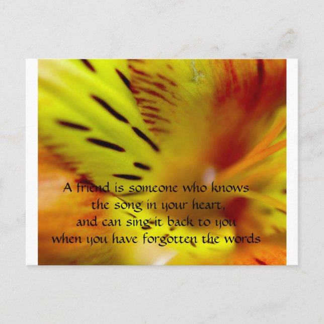 Postal Un amigo es alguien que conoce al hijo... (Anverso)