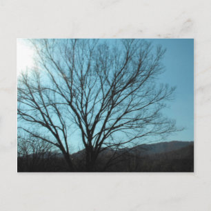 Postal Un árbol