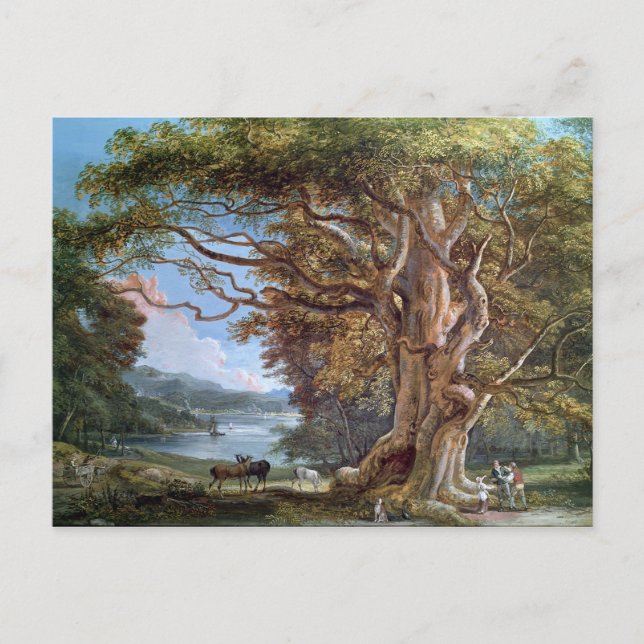 Postal Un árbol de haya antiguo, 1794 (aceite sobre lienz (Anverso)