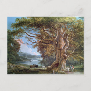 Postal Un árbol de haya antiguo, 1794 (aceite sobre lienz